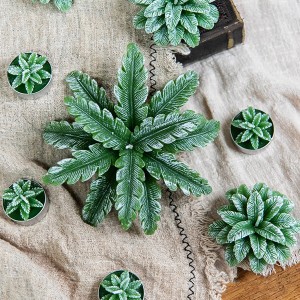 Plant Candle